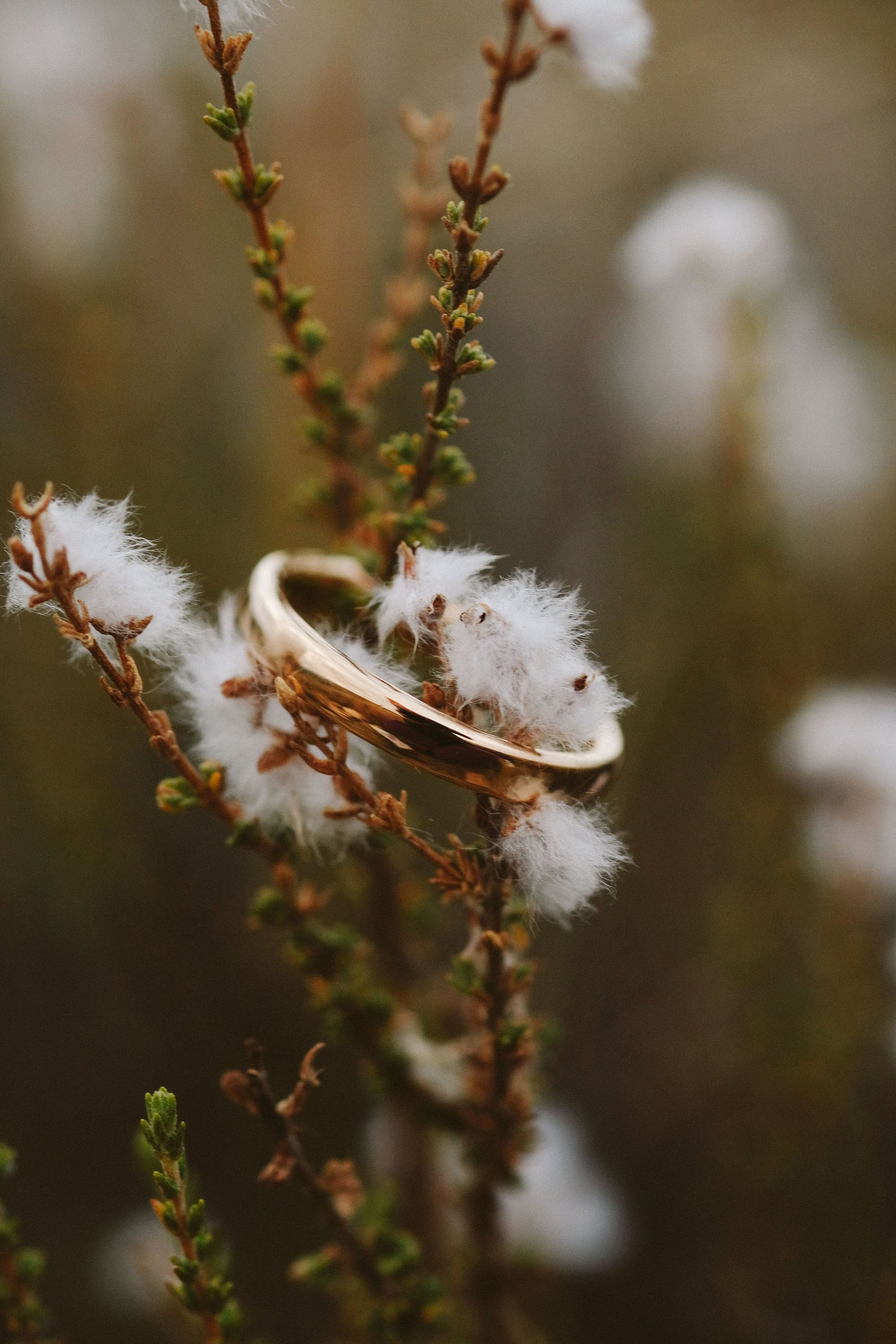 3mm Everyday Gold Band