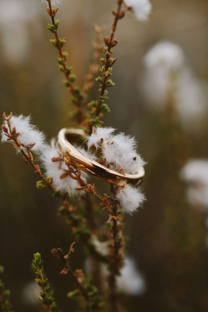 3mm Everyday Gold Band