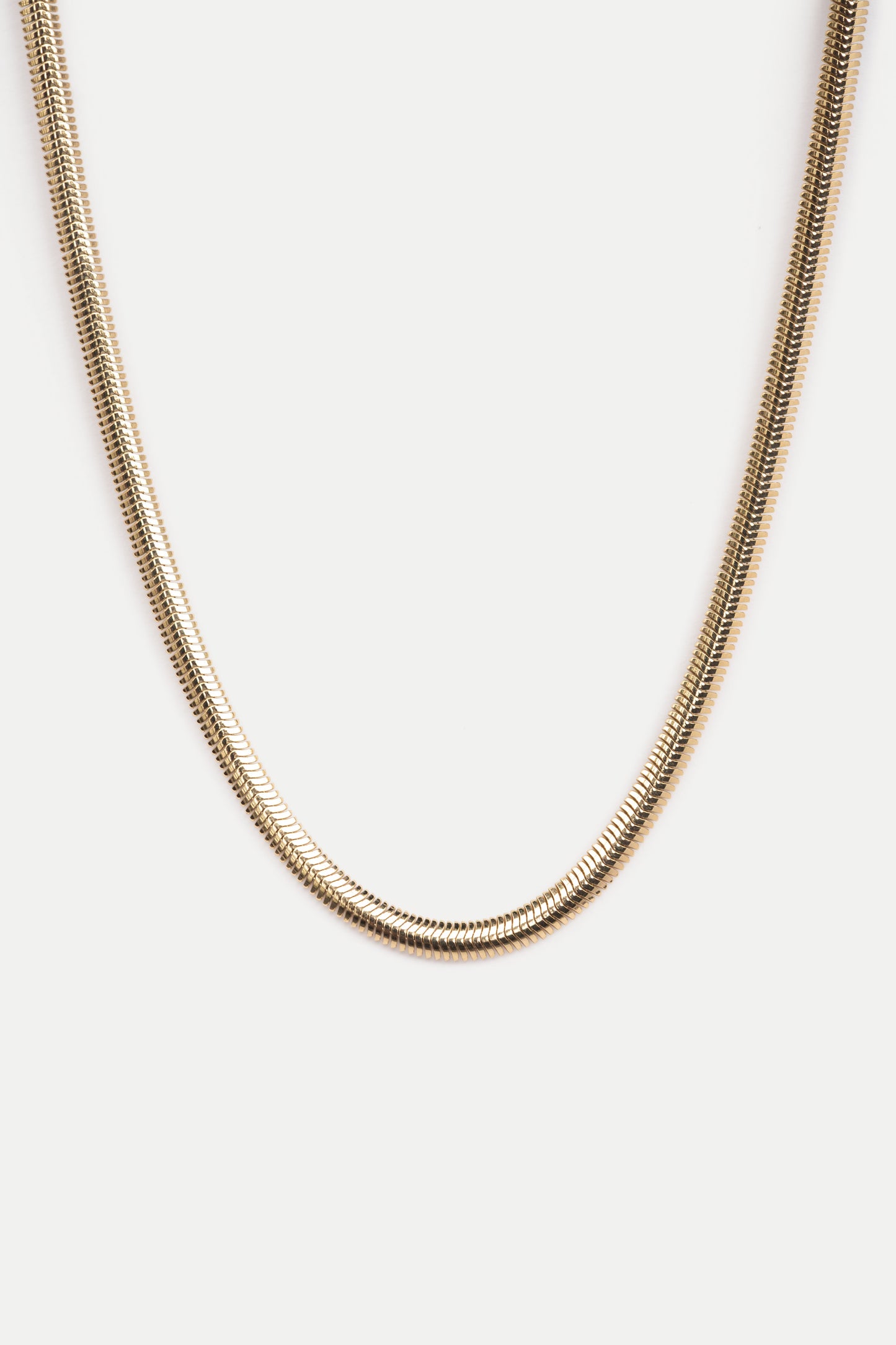 Gold snake chain necklace on a white background