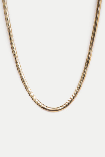 Gold snake chain necklace on a white background