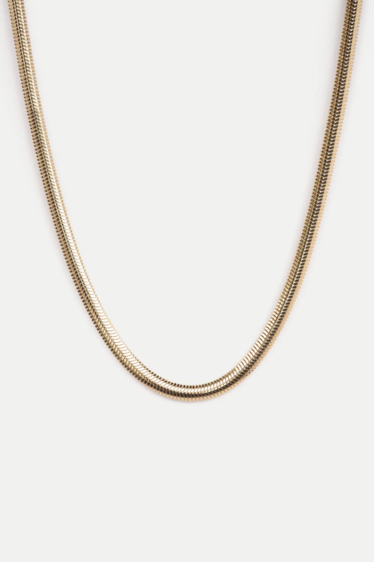 Gold snake chain necklace on a white background