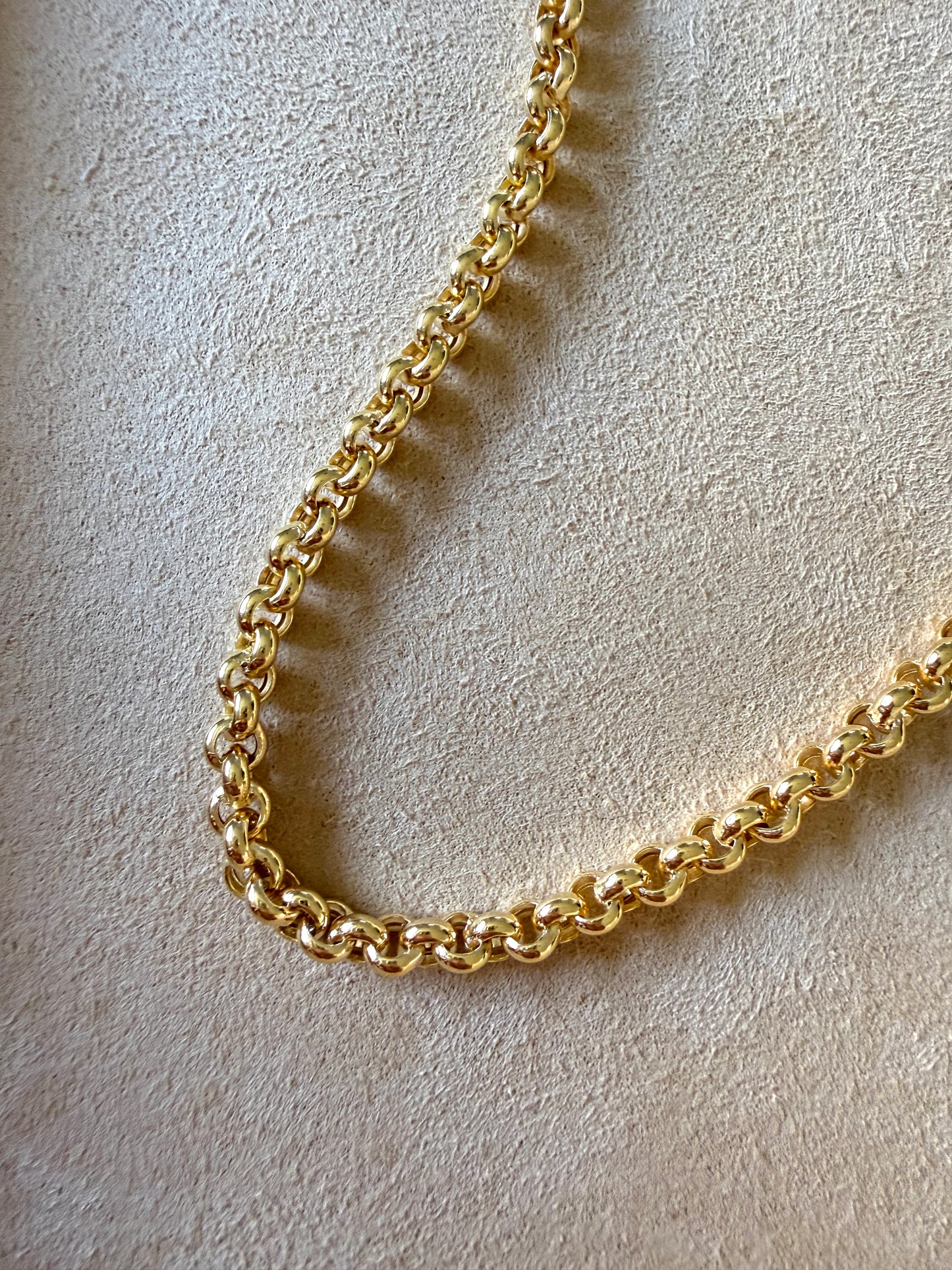 The Bold Rolo Chain